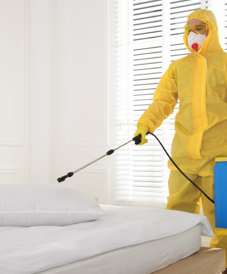 Professional Pest Control Team in Waterfall Gully